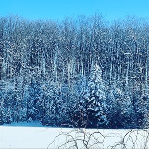 Meet your Posher, Dina